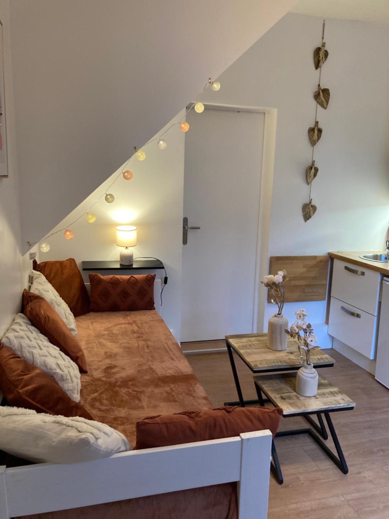 Exceptionnel Au Coeur De Lille Apartment Екстериор снимка